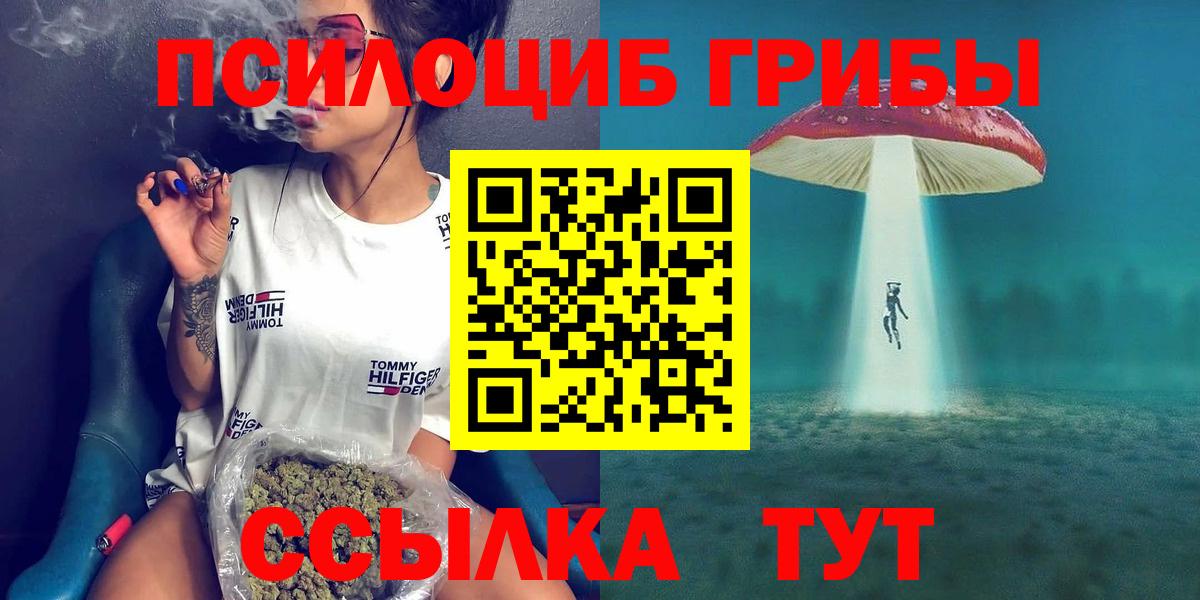 Псилоцибиновые грибы прущие грибы Благодарный
