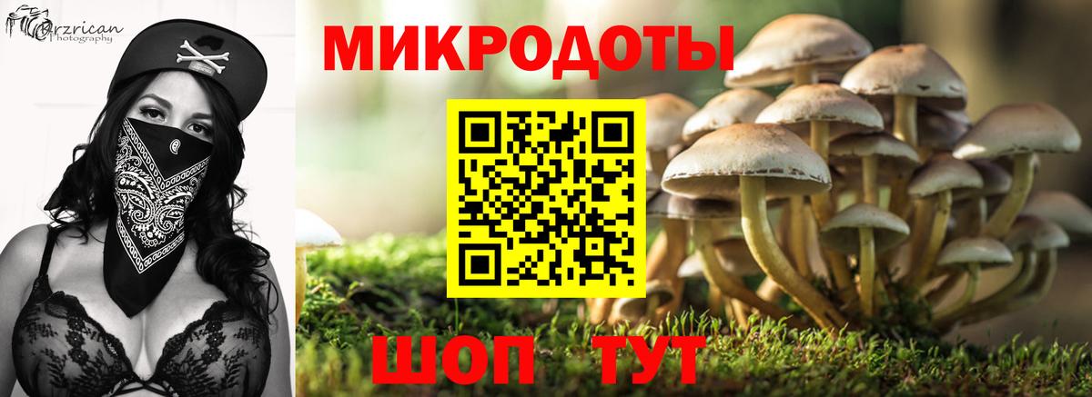 Благодарный  Галлюциногенные грибы Cubensis  Галлюциногенные грибы Psilocybine cubensis  Вход с VPN 